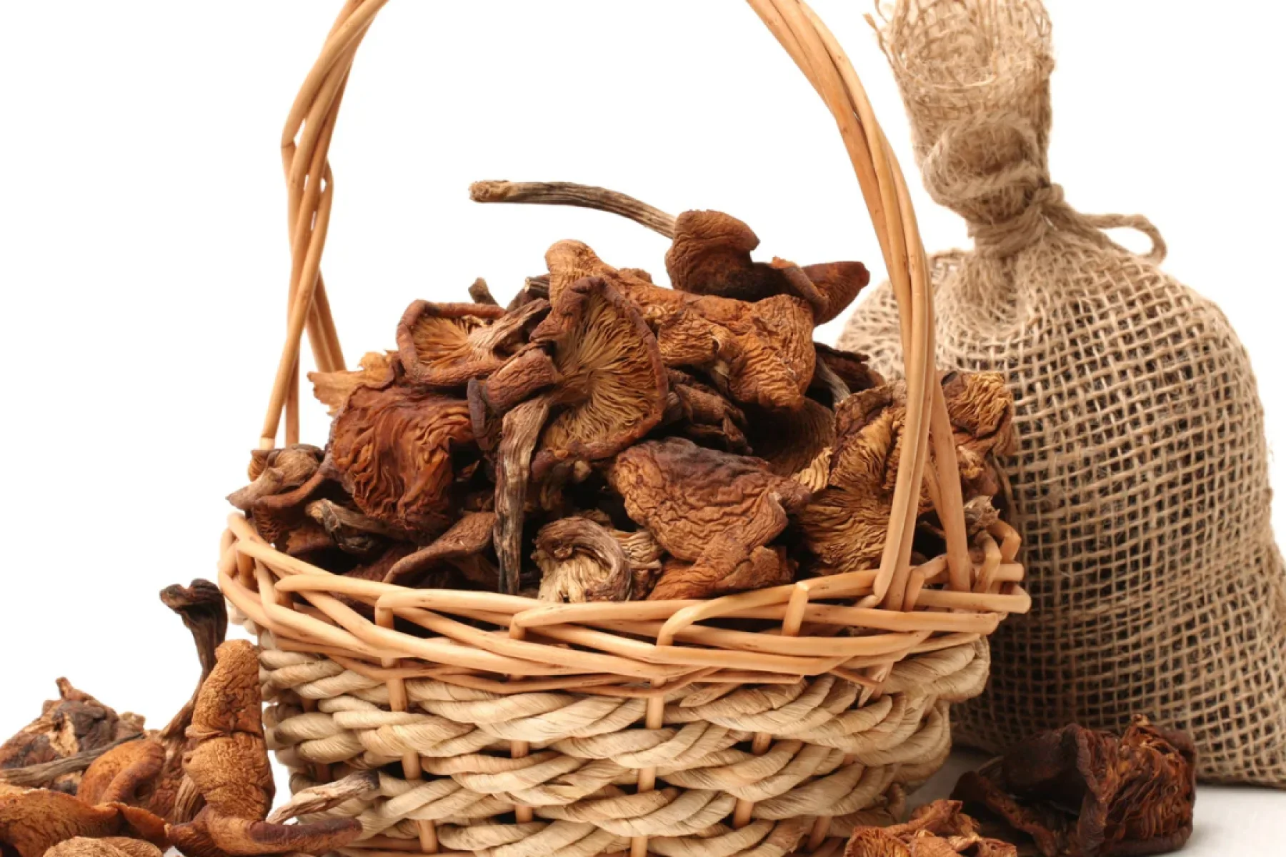 Dry Mushrooms