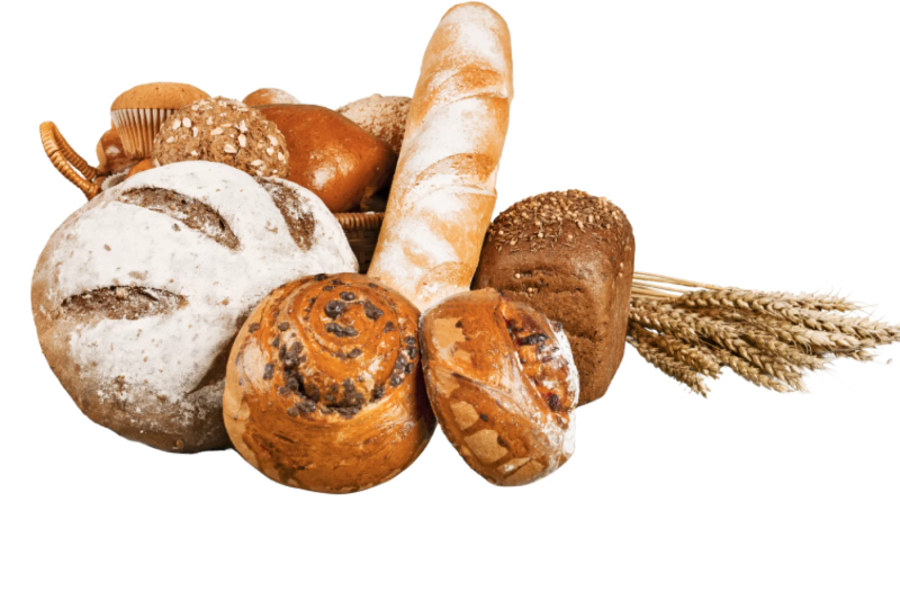 Bread & Bakery