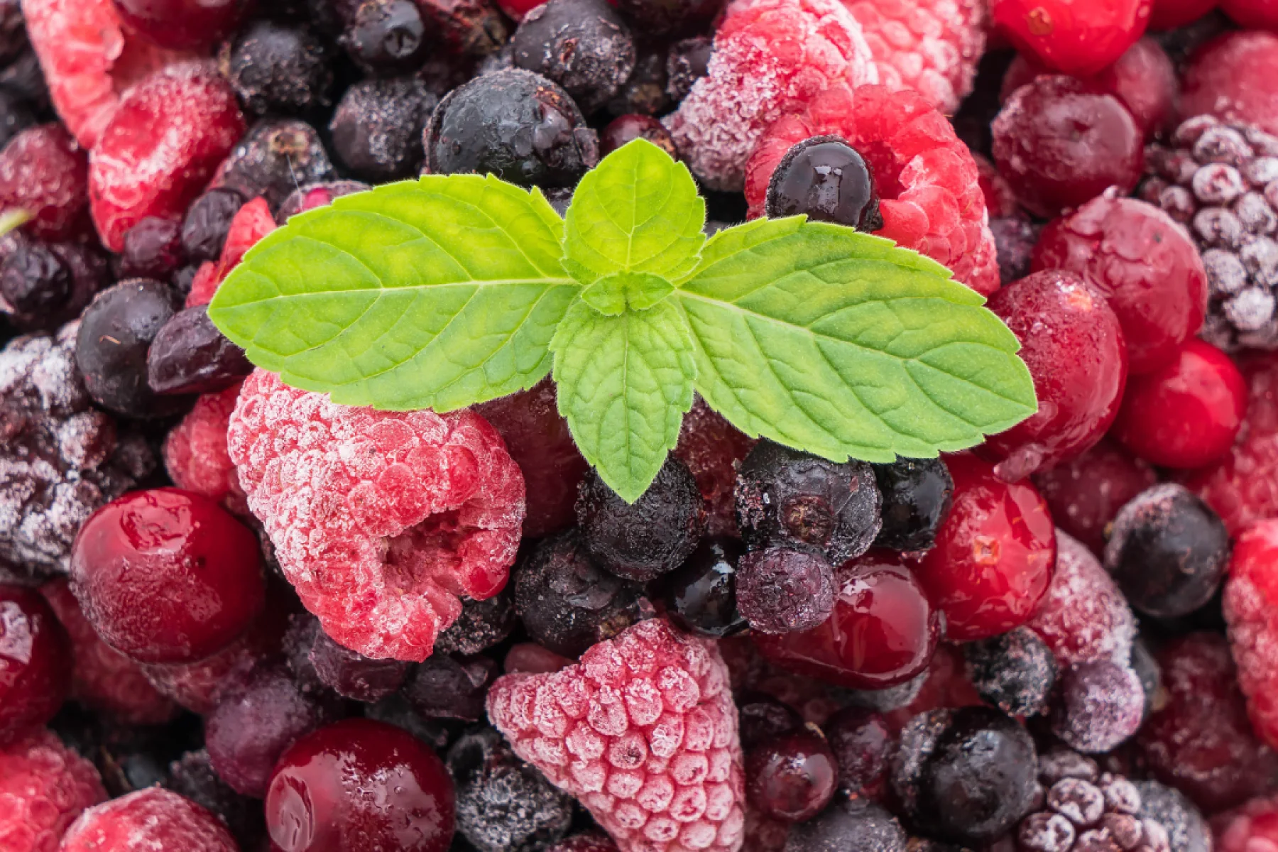 Fruits & Berries