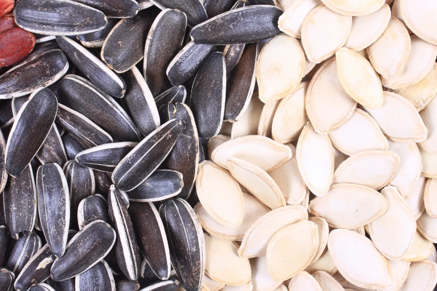 Sunflower & Pumpkin Seeds
