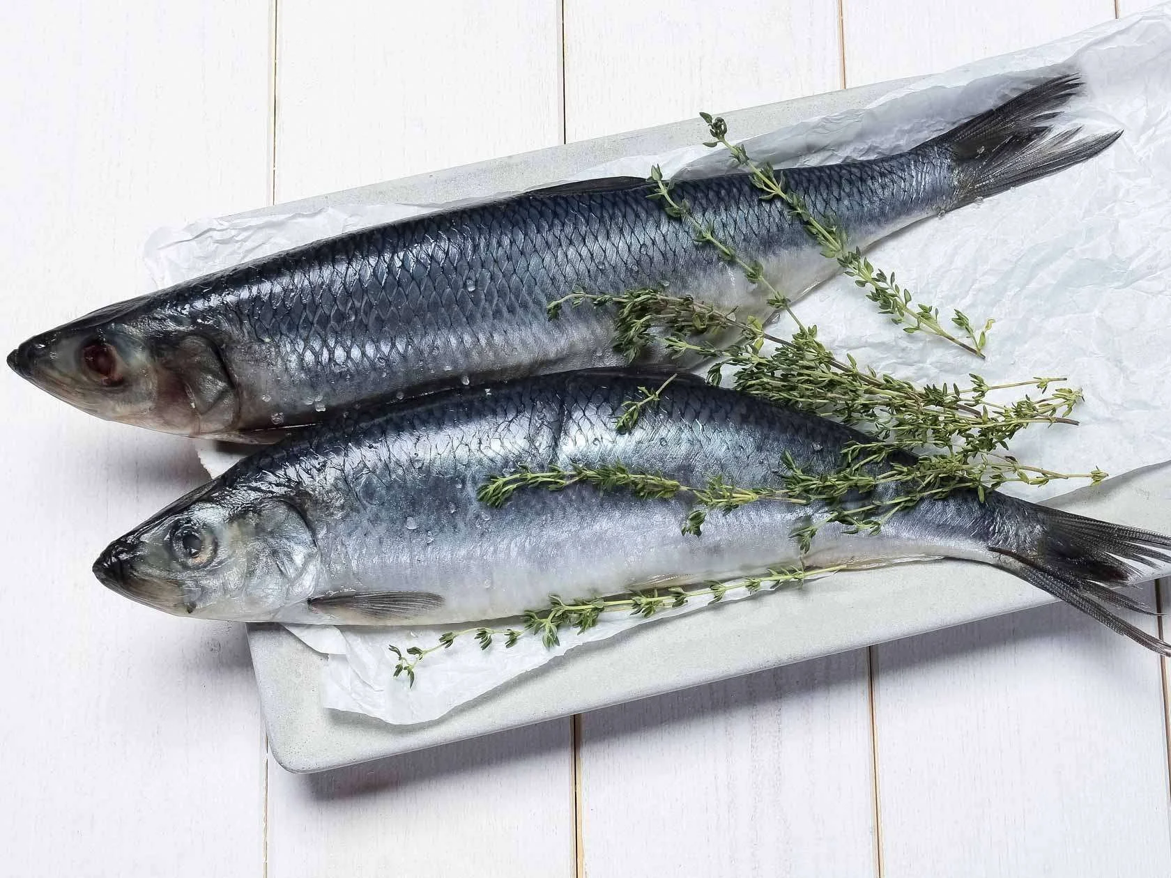 ATLANTIC HERRING IN BRINE