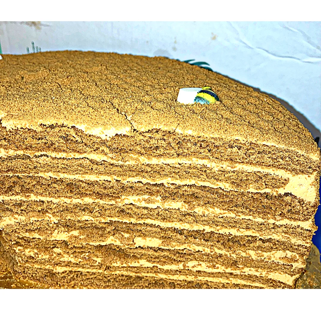 HONEY FANTASY CAKE "PCHELKA"