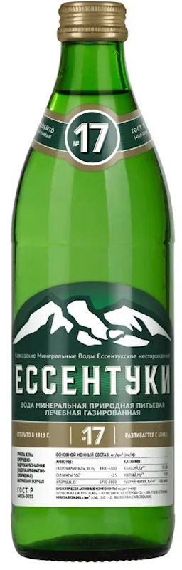 YESSENTUKI-17  450ML