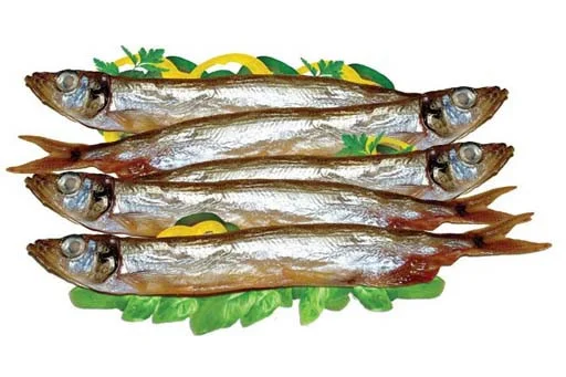 CAPELIN COLD SMOKED MOIVA