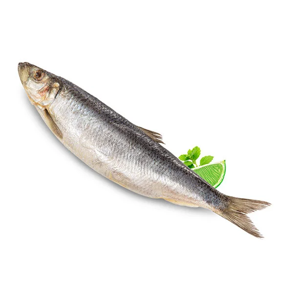 HERRING DUNAYSKAYA