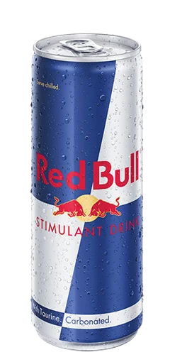 Red Bull 16.9OZ