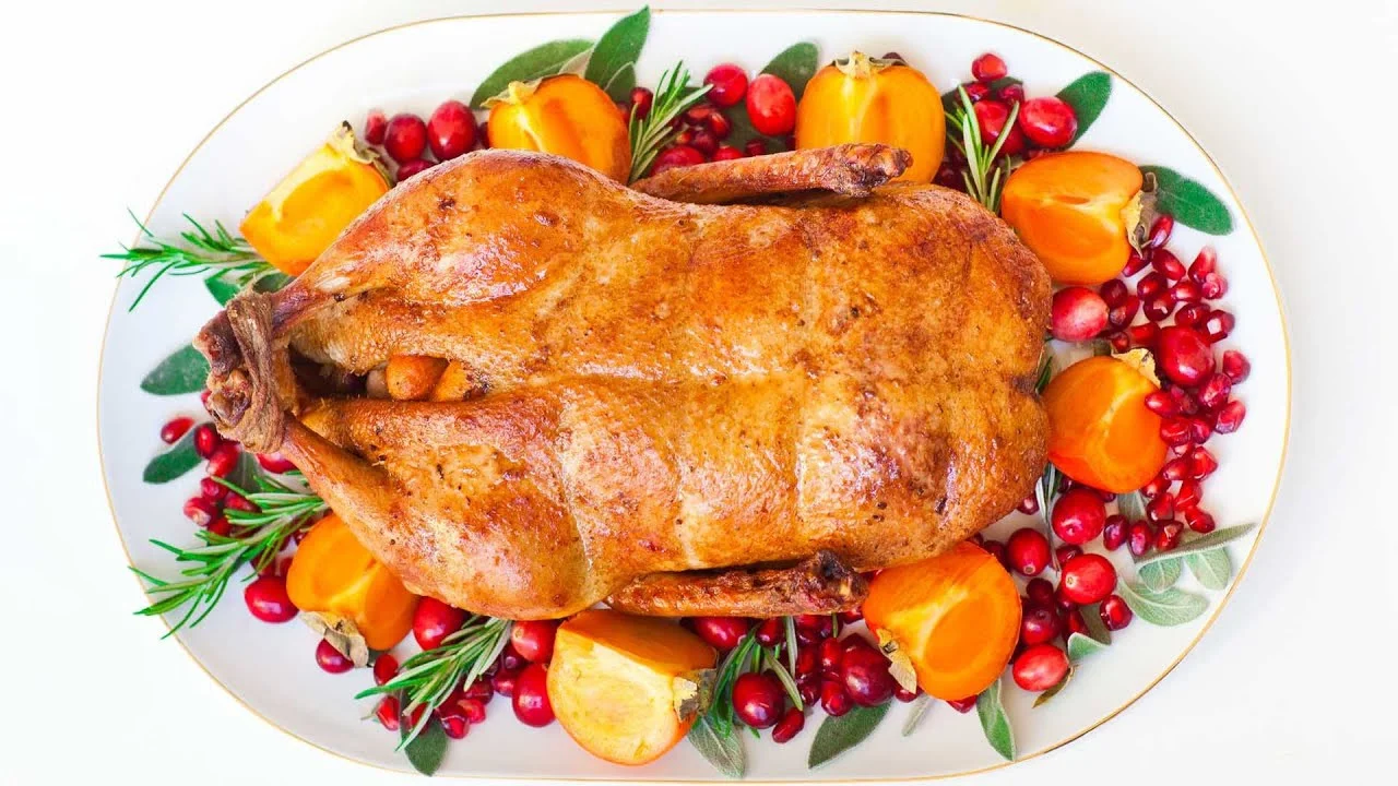 STUFFED DUCK