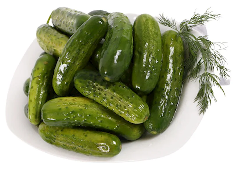 HALF SOUR PICKLES
