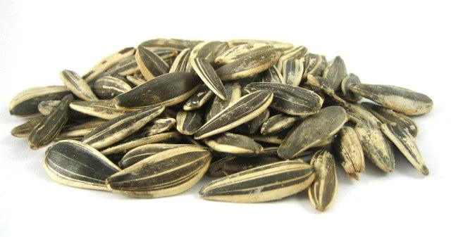 ISRAEL ROASTED SUNFLOWER SEEDS UNSALED