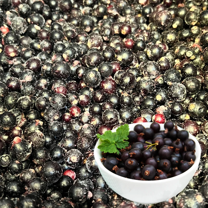 FROZEN BLACK CURRANT