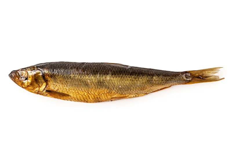 COLD SMOKED HERRING IN VACUUM PACK
