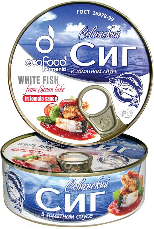 WHITEFISH SIG IN TOMATO SAUCE 240GR ECOFOOD